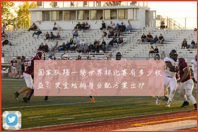 国家队踢一场世界杯比赛有多少收益？奖金结构与分配方案出炉