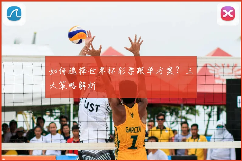 如何选择世界杯彩票跟单方案？三大策略解析