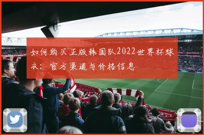 如何购买正版韩国队2022世界杯球衣：官方渠道与价格信息