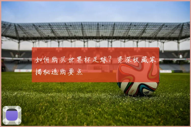 如何购买世界杯足球？资深收藏家揭秘选购要点