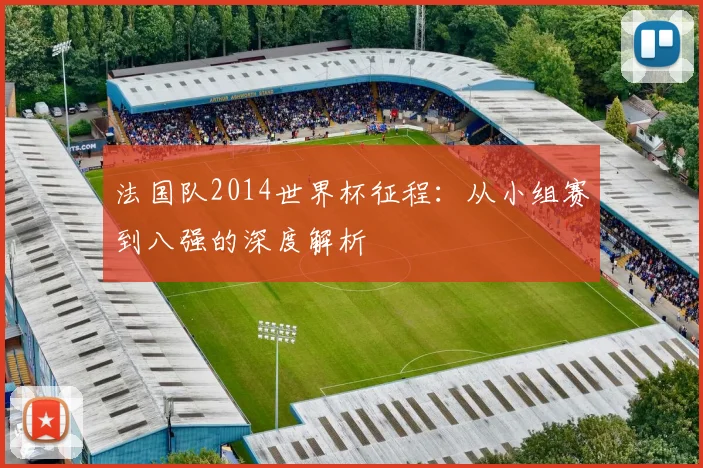 法国队2014世界杯征程：从小组赛到八强的深度解析