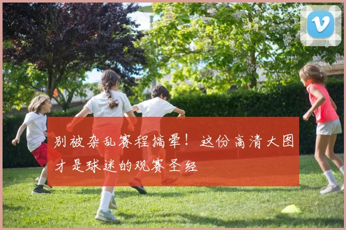 别被杂乱赛程搞晕！这份高清大图才是球迷的观赛圣经