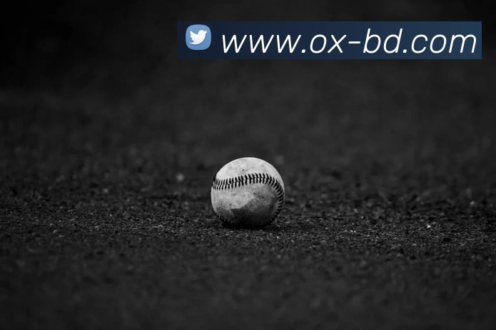 欧宝最新官网平台生态图