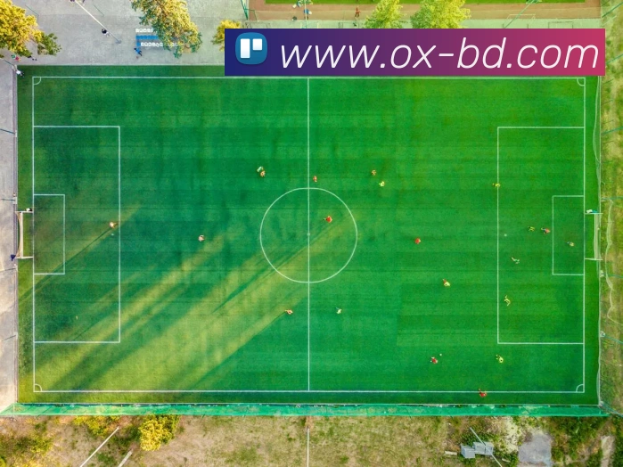 欧宝最新官网全站App